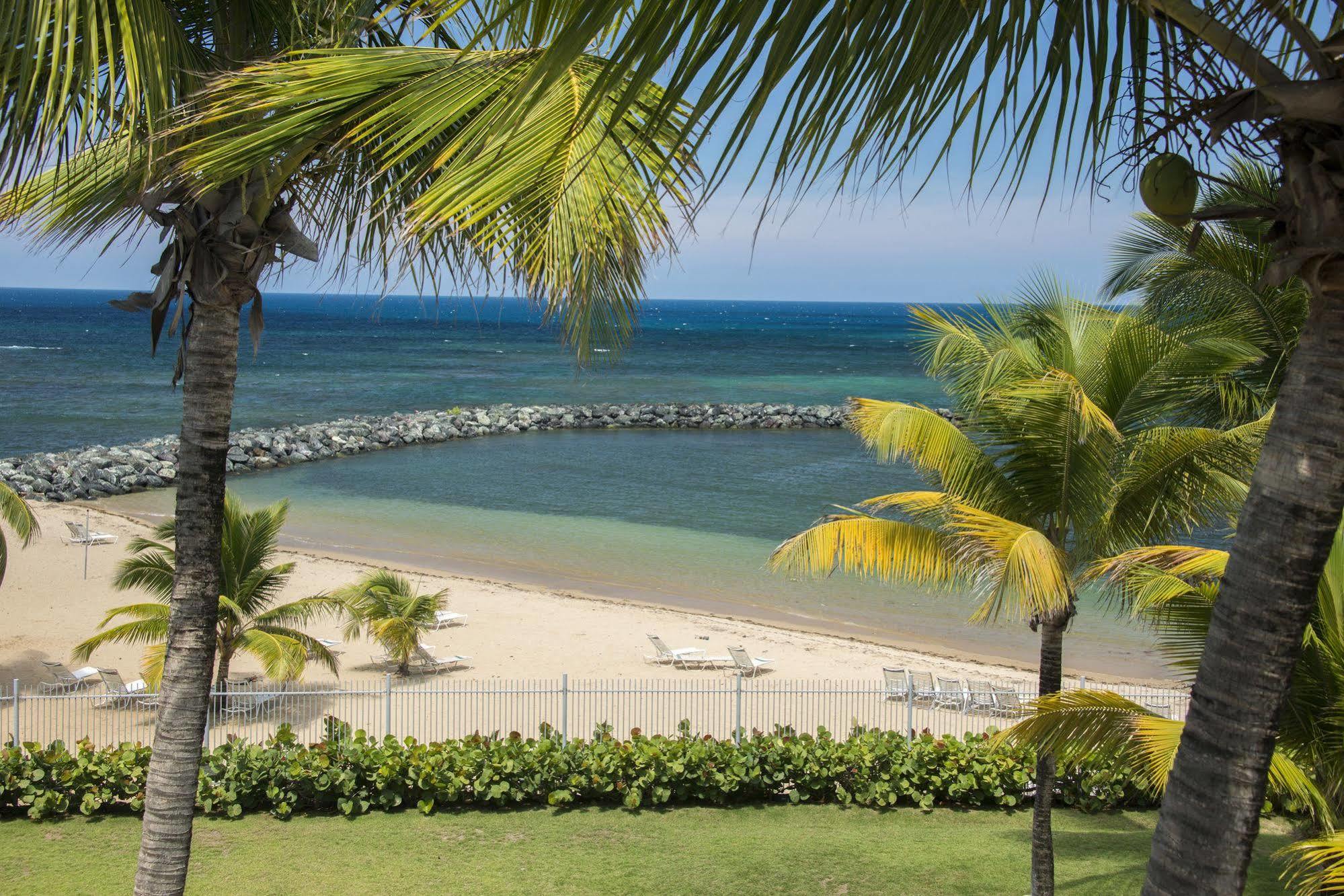 מלון Aquarius Vacation Club At Dorado Del Mar מראה חיצוני תמונה
