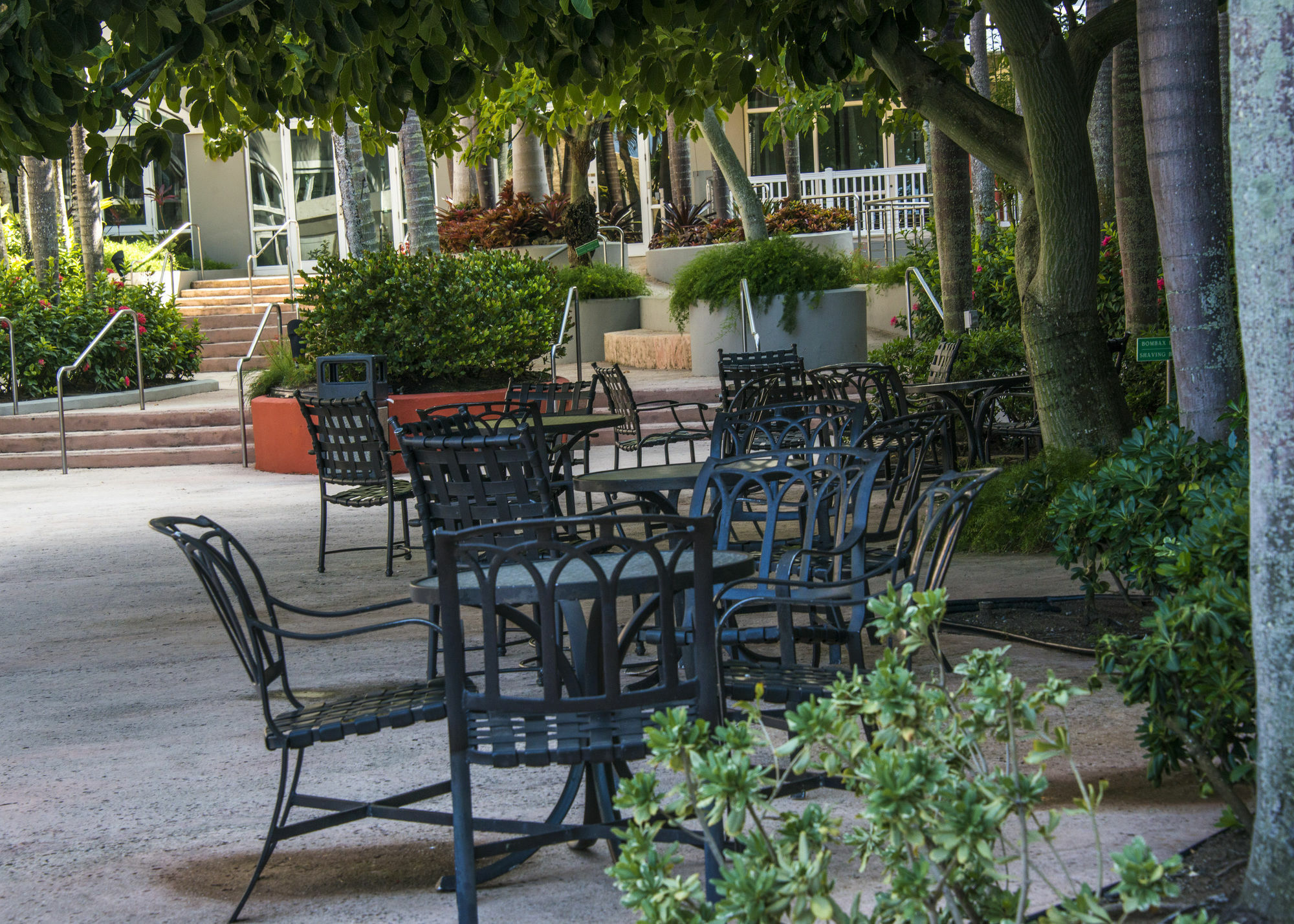 מלון Aquarius Vacation Club At Dorado Del Mar מראה חיצוני תמונה